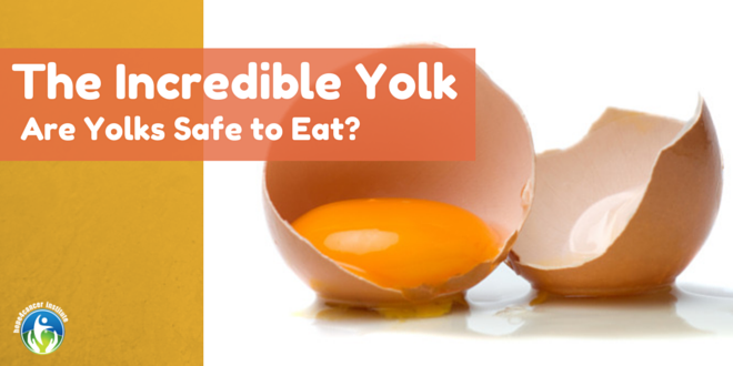 The Incredible Yolk - Are Egg Yolks Safe to Eat