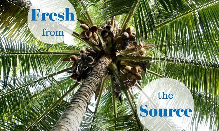 Coconut Water: The Fluid of Life