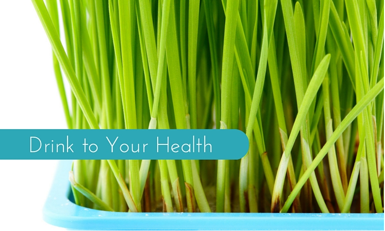 Wheatgrass: Nature’s Finest Medicine!