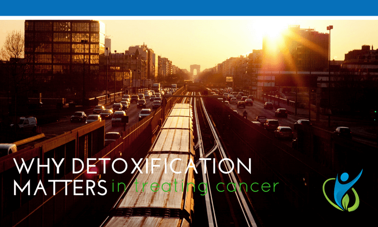 Why detoxify?