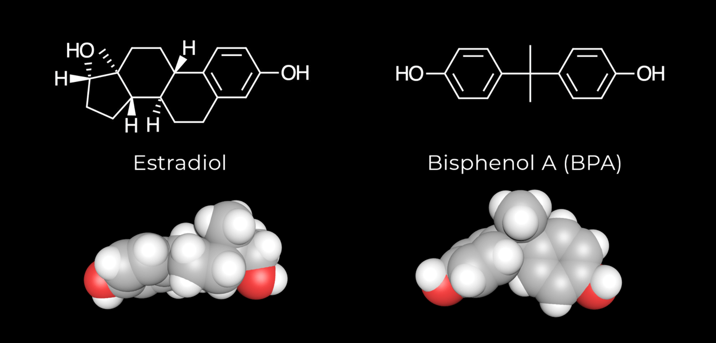 The Baffling History of BPA