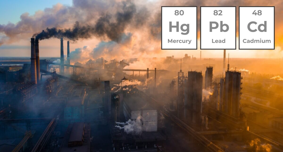 Heavy Metals Featured Image
